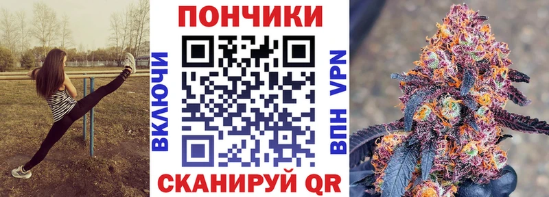 Где купить Александровск Псилоцибиновые грибы ГАШИШ Каннабис