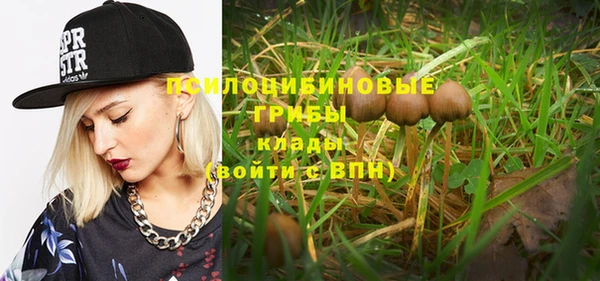 PSILOCYBIN Абдулино