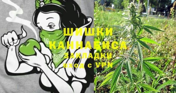 PSILOCYBIN Абдулино