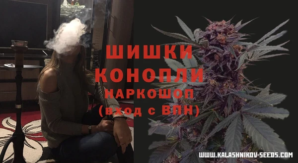 PSILOCYBIN Абдулино